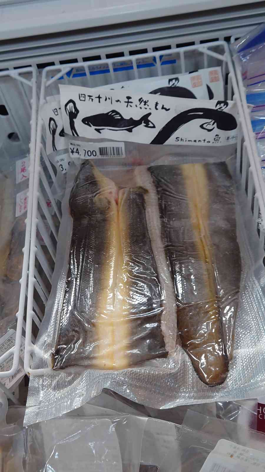 投稿された画像