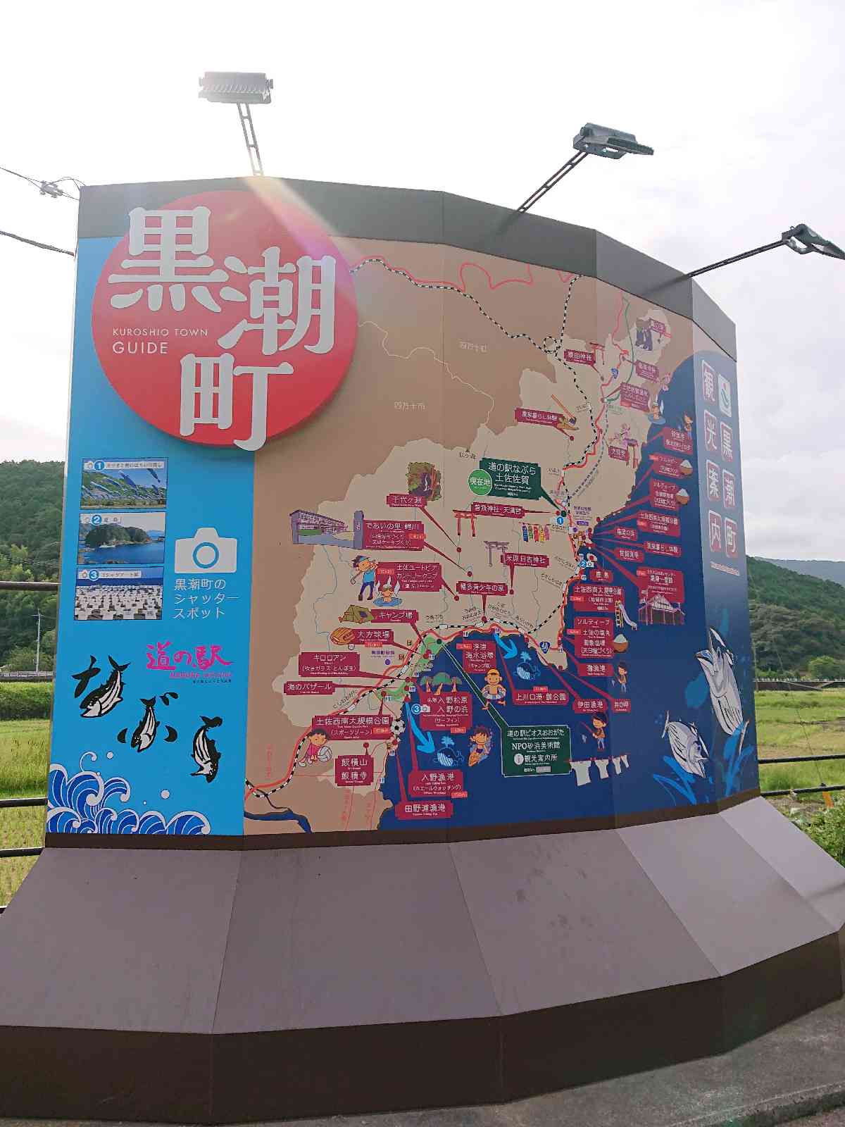 投稿された画像