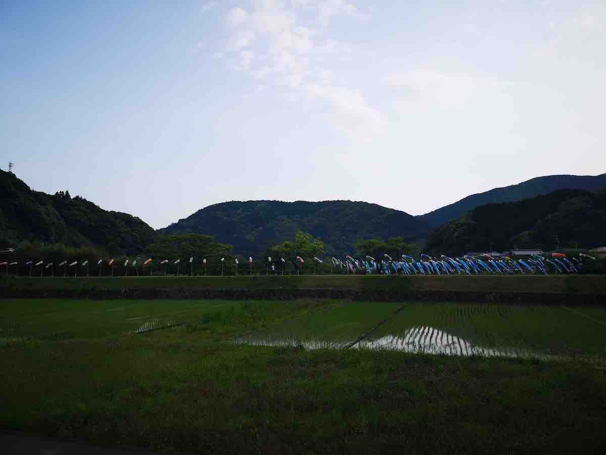 投稿された画像