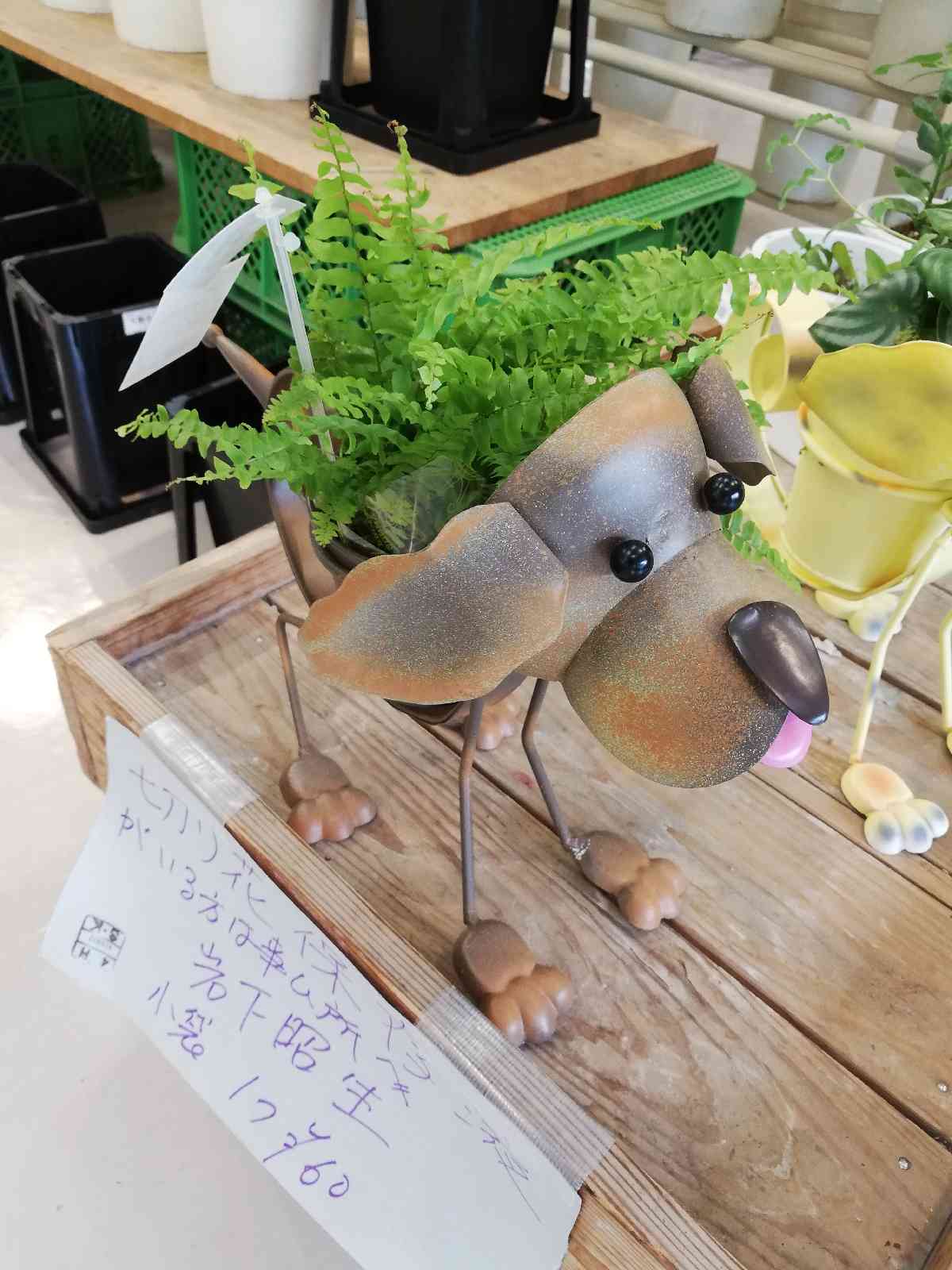 投稿された画像