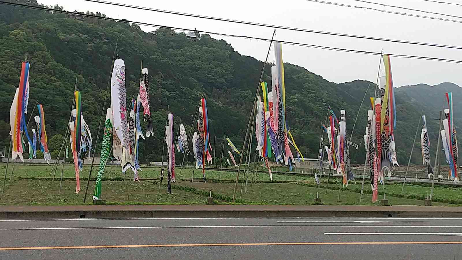 投稿された画像