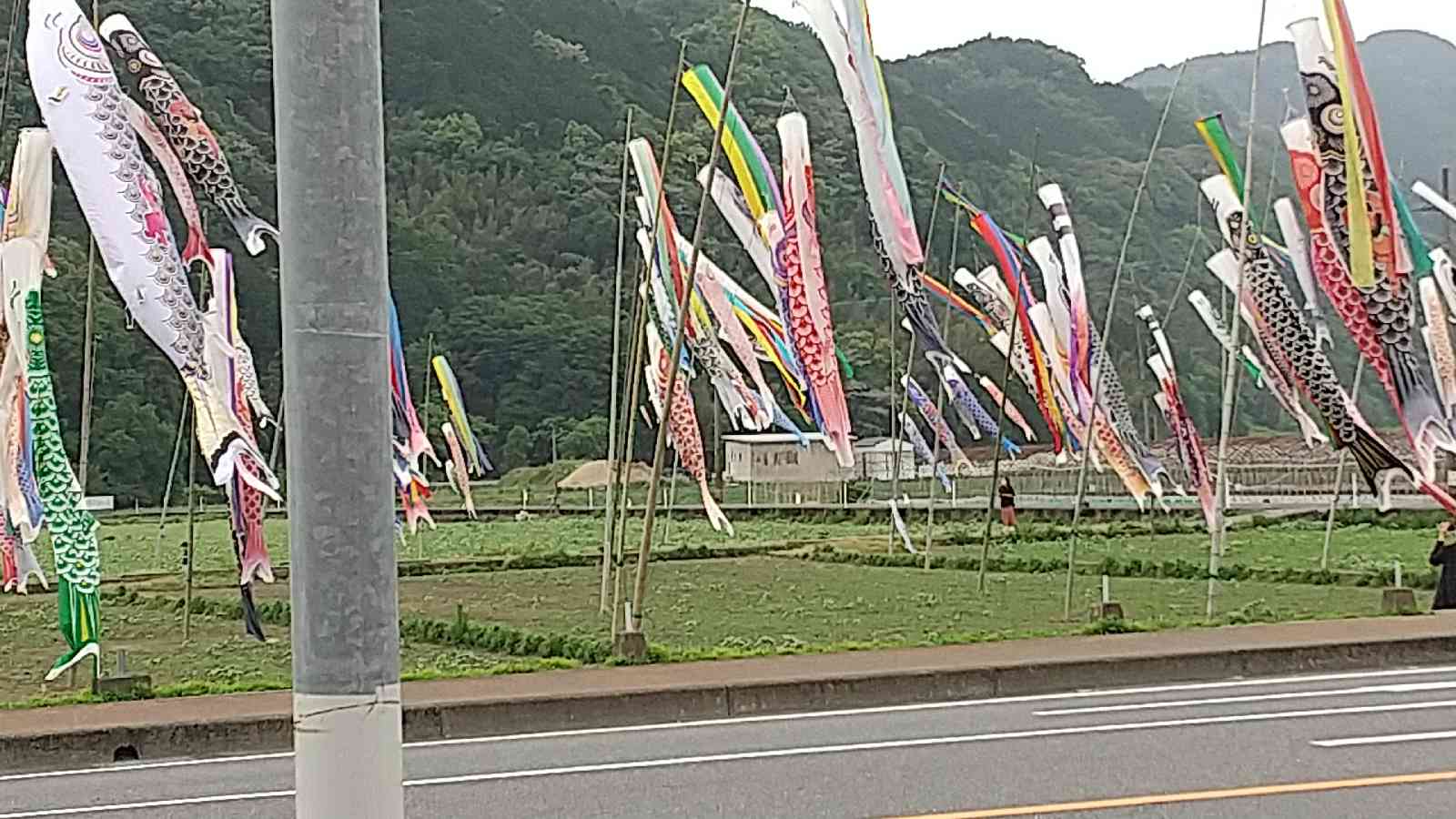 投稿された画像