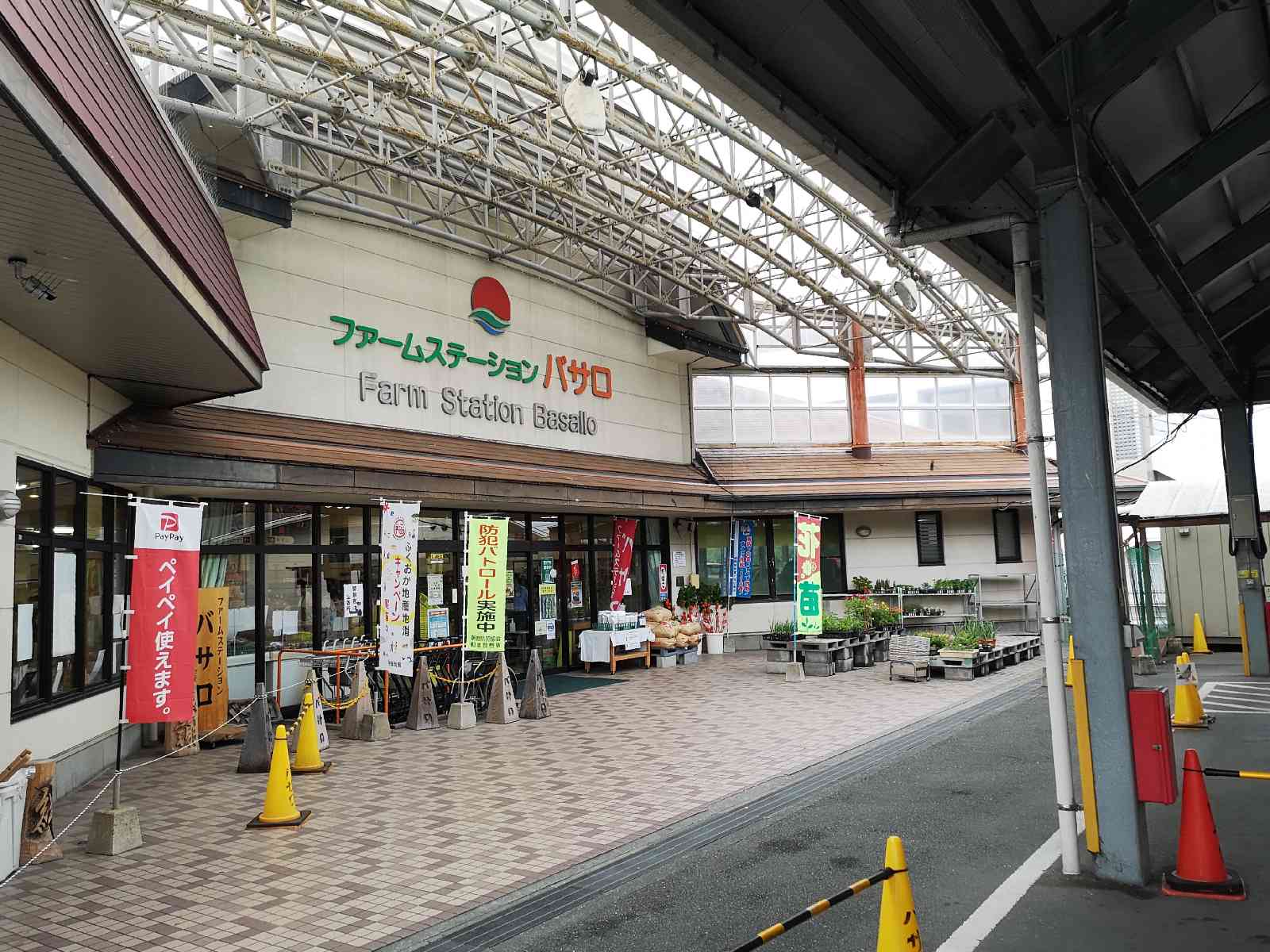 投稿された画像