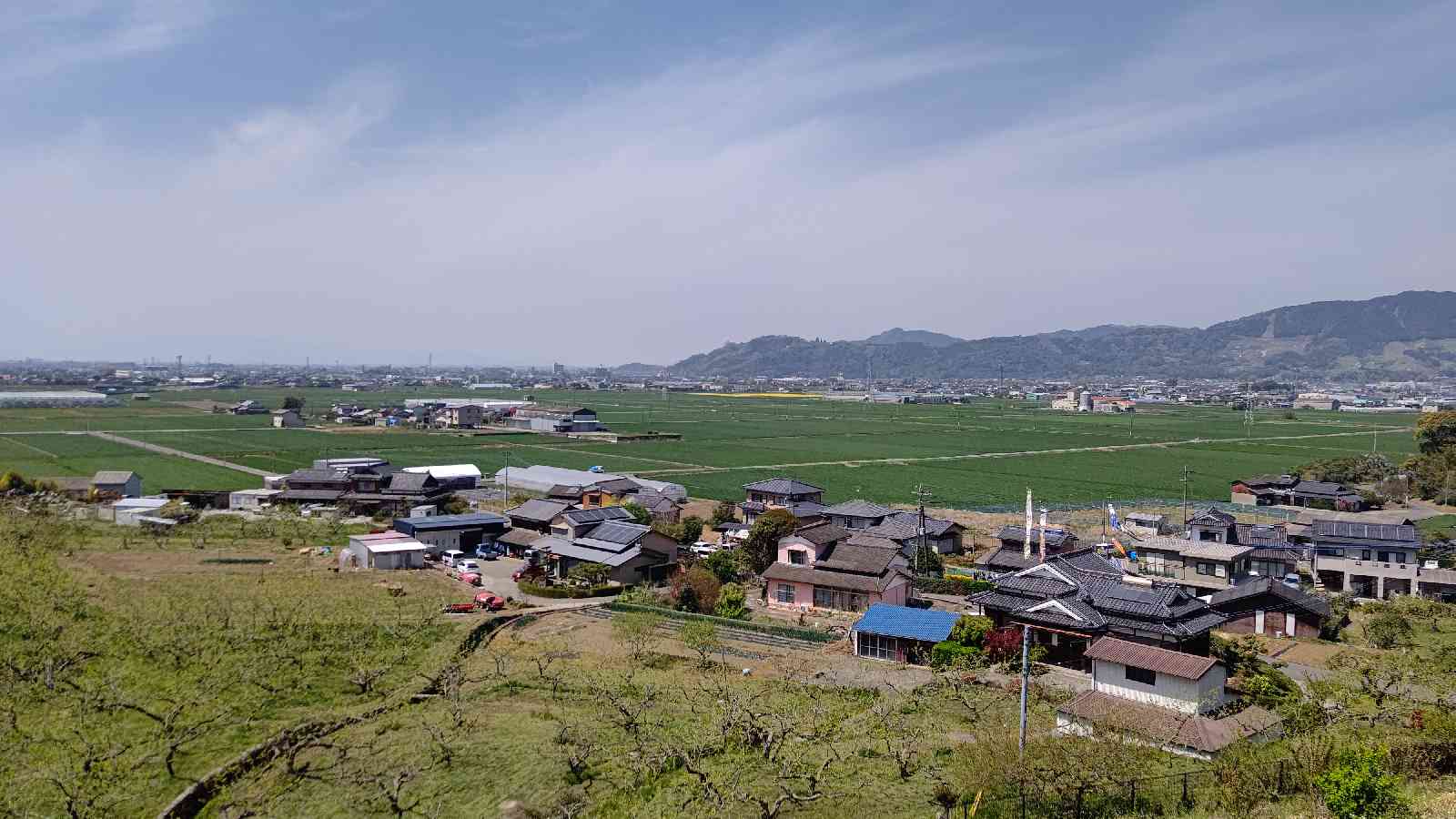 投稿された画像