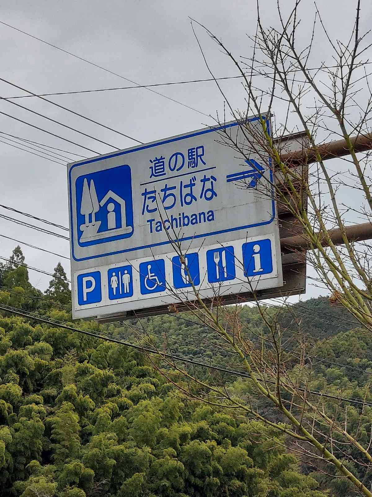 道の駅 たちばなの写真