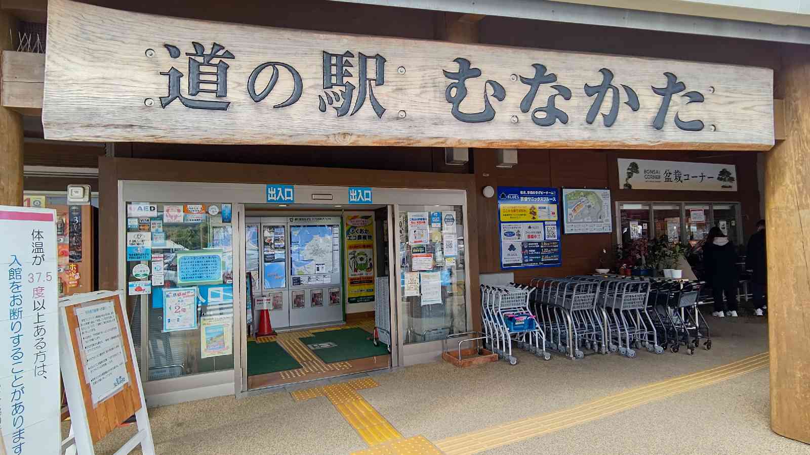 投稿された画像