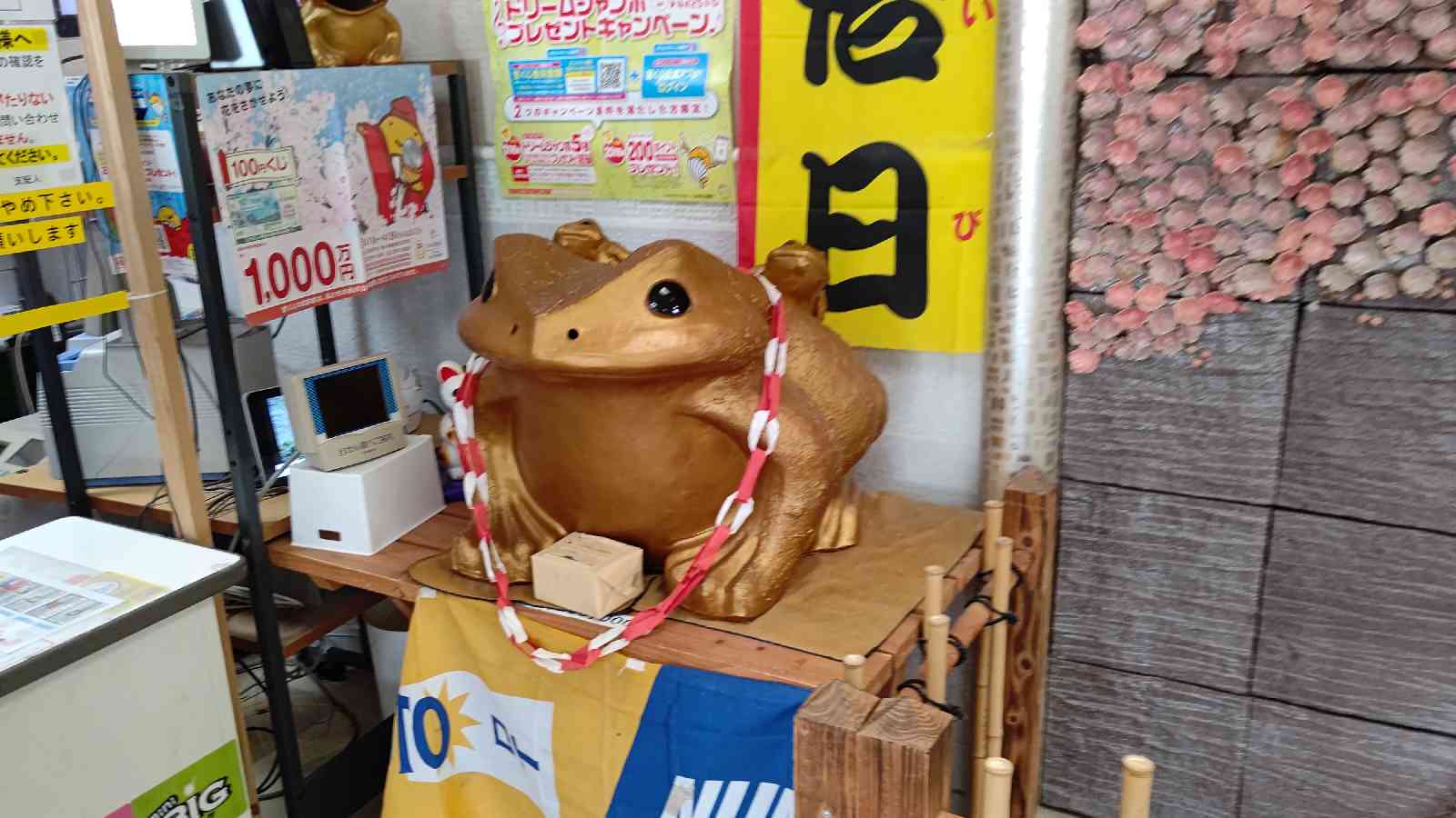 投稿された画像