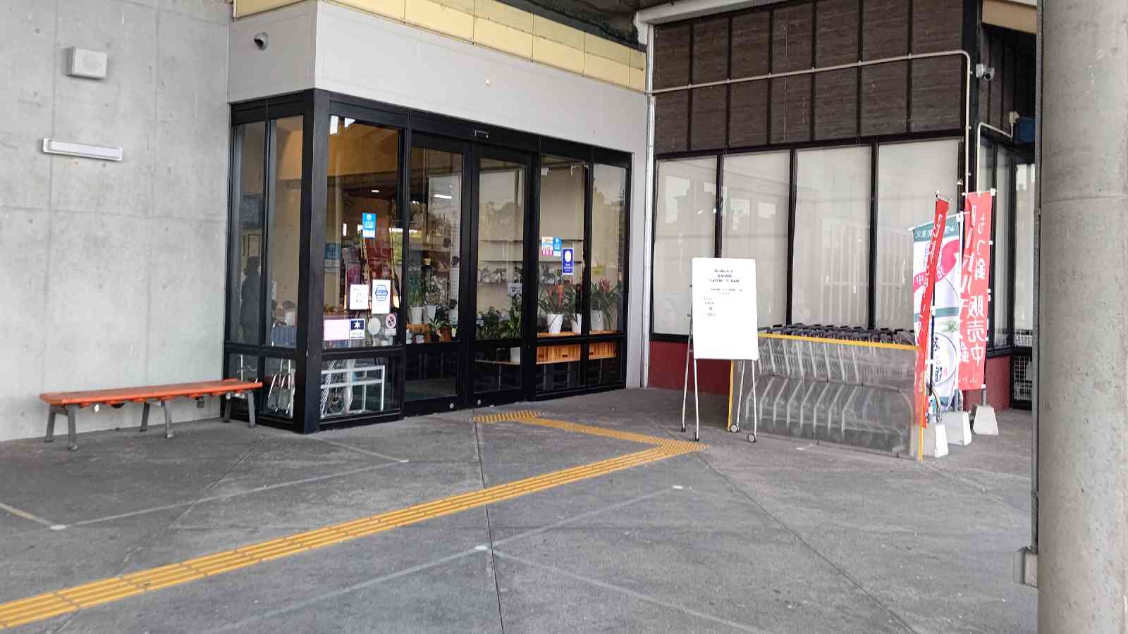 投稿された画像
