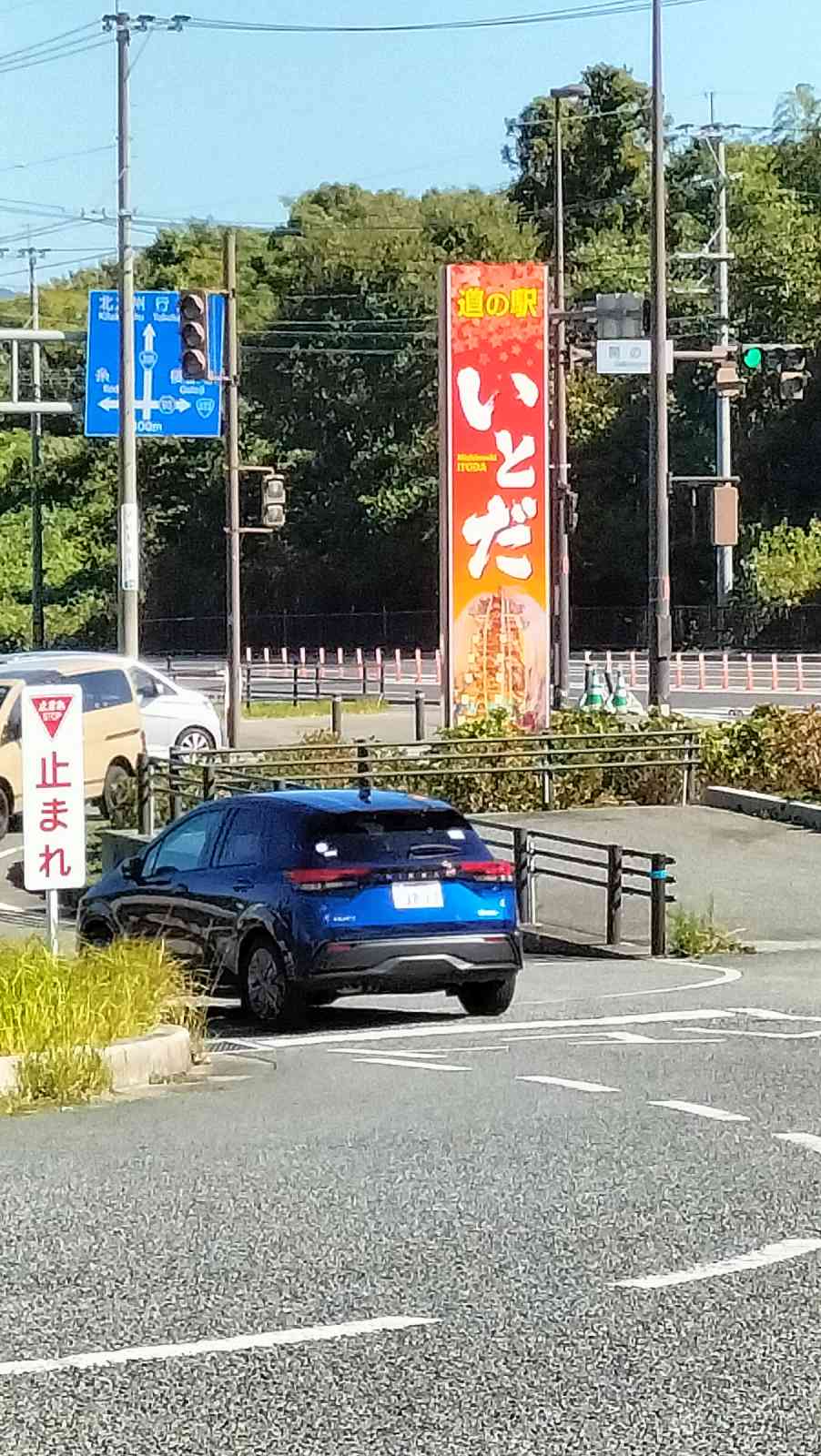投稿された画像