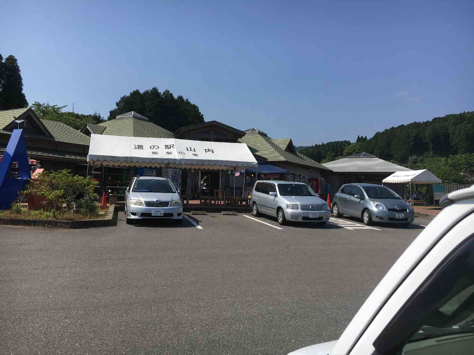 投稿された画像