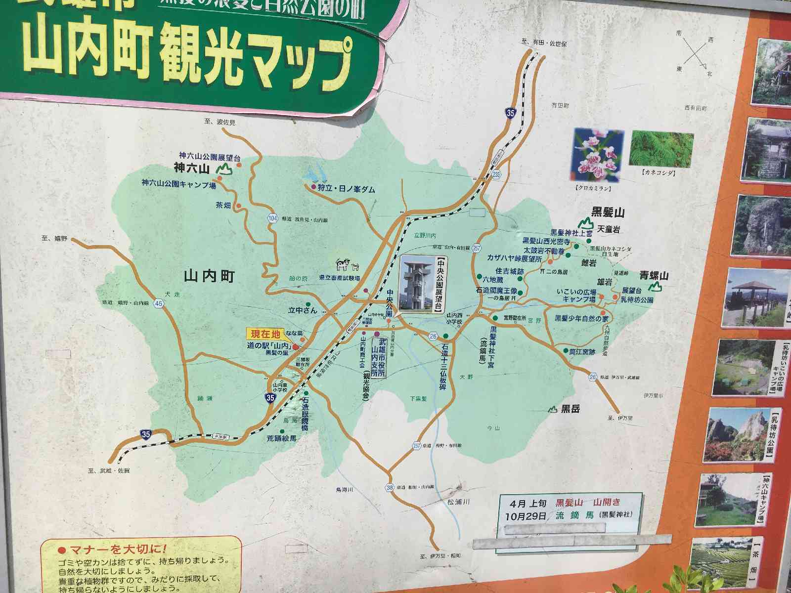 投稿された画像