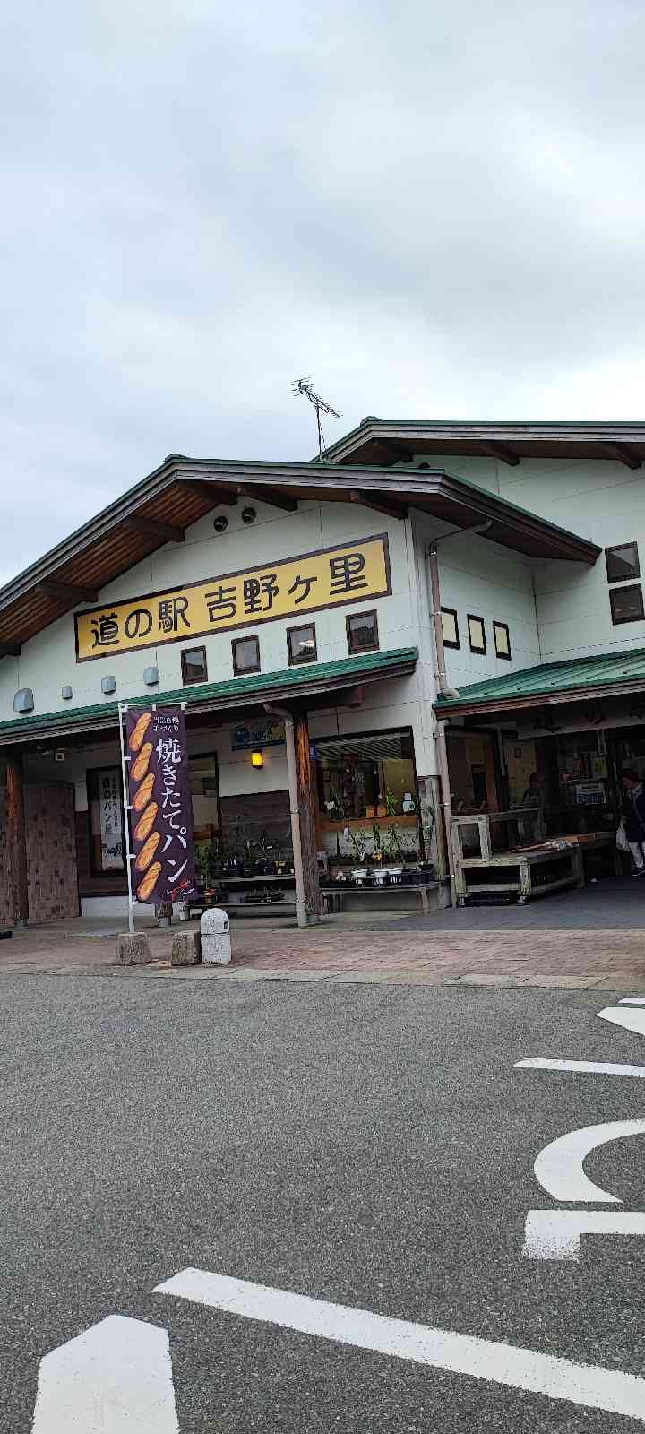 投稿された画像