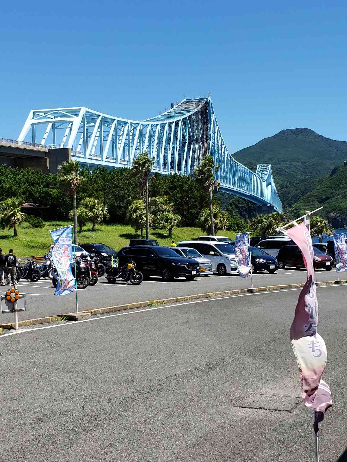 投稿された画像