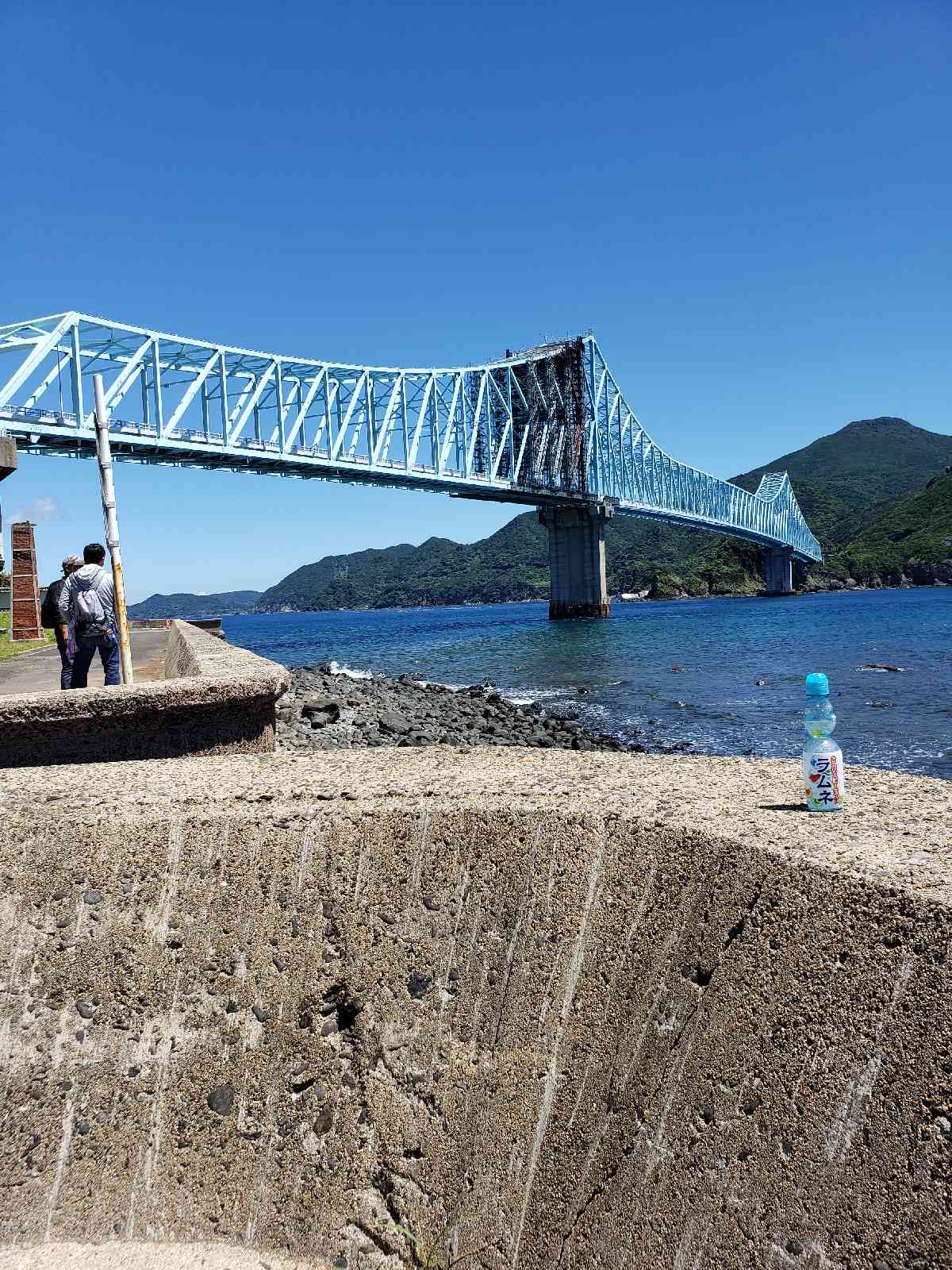 投稿された画像