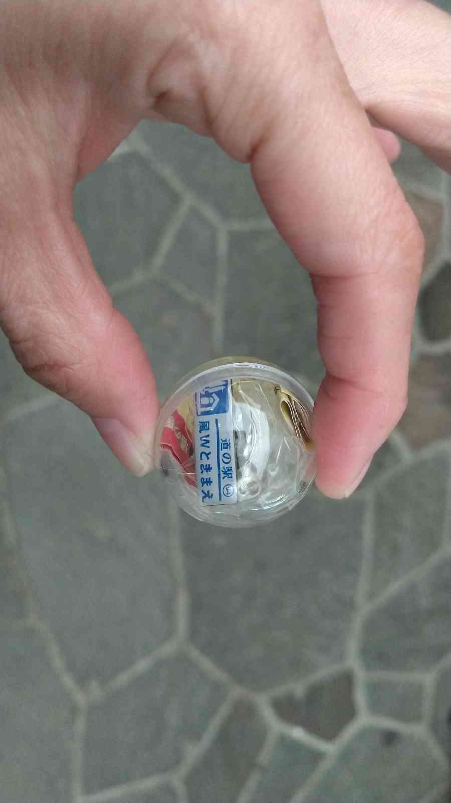 投稿された画像