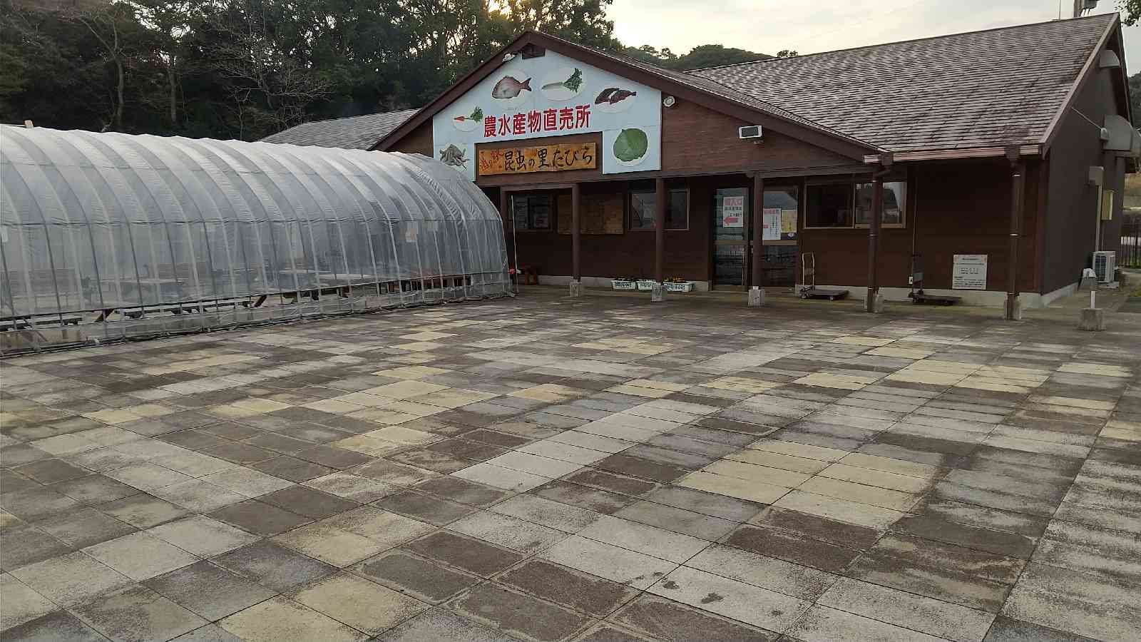 投稿された画像