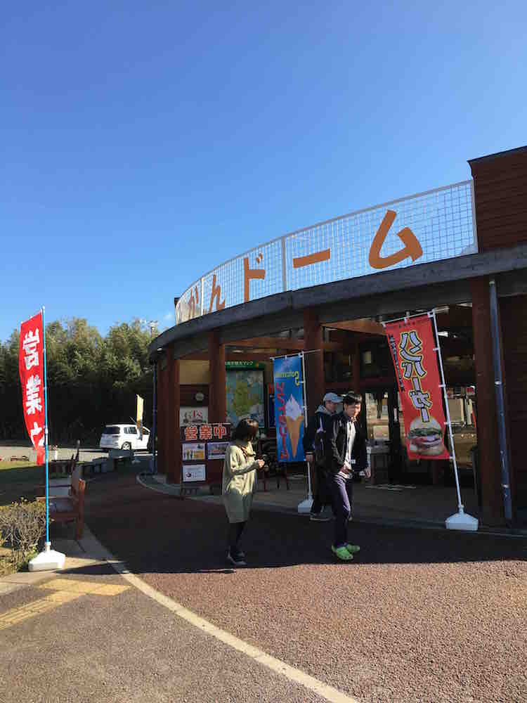 投稿された画像