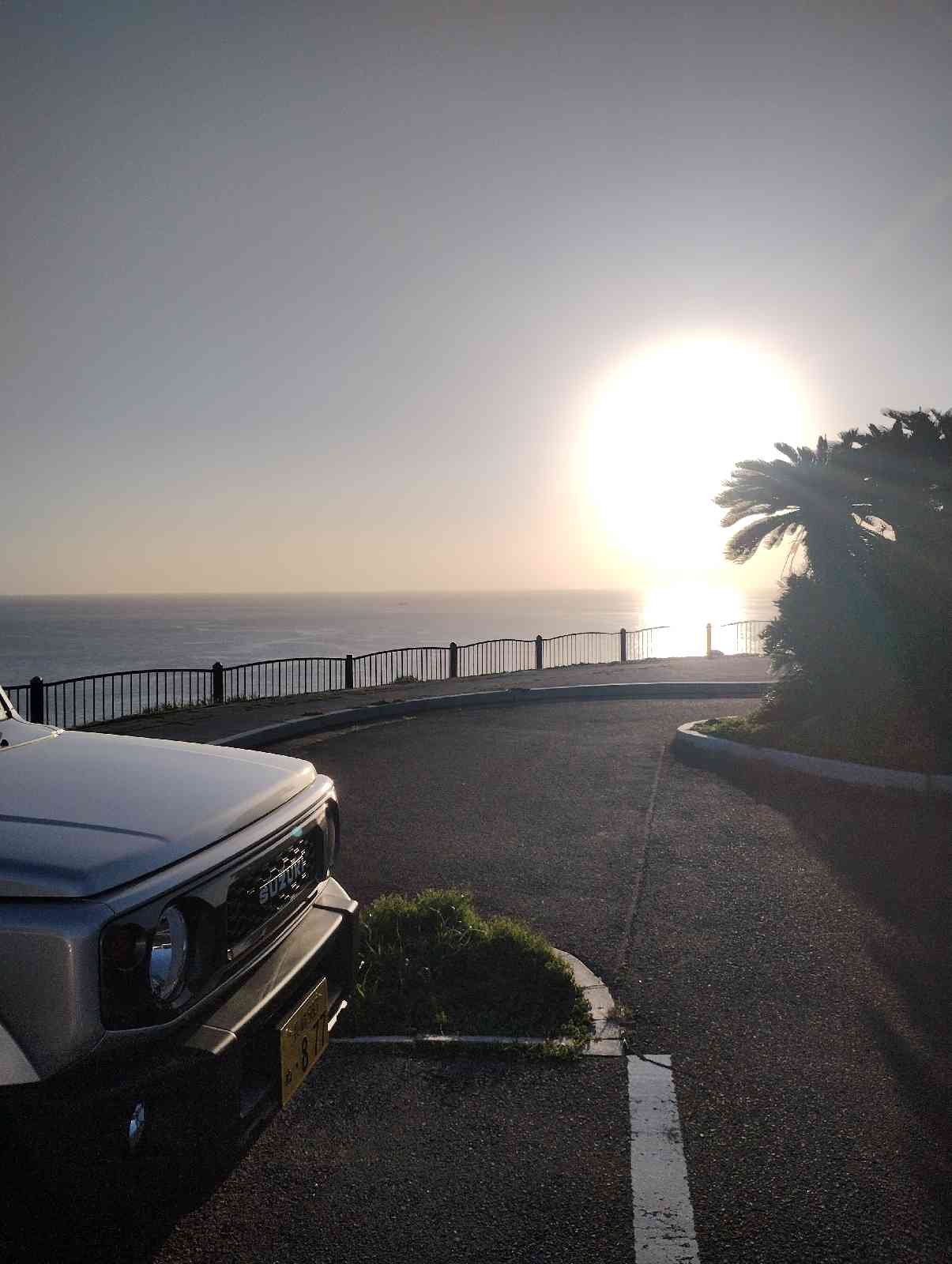 投稿された画像