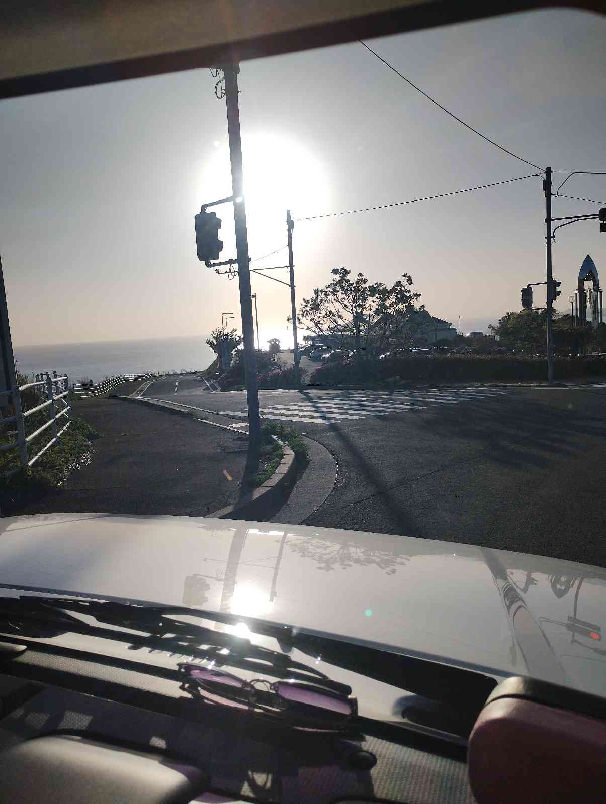 投稿された画像