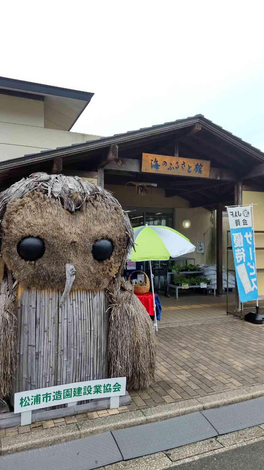 投稿された画像