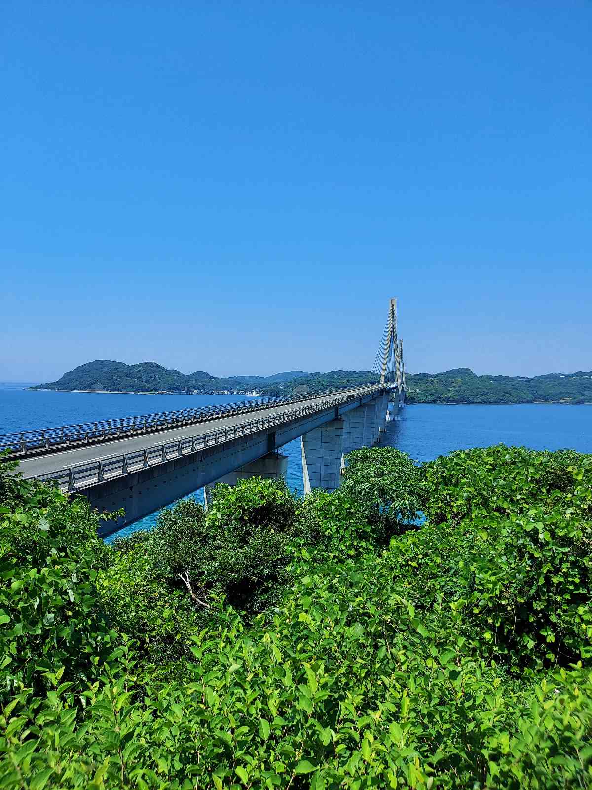 道の駅 鷹ら島の写真
