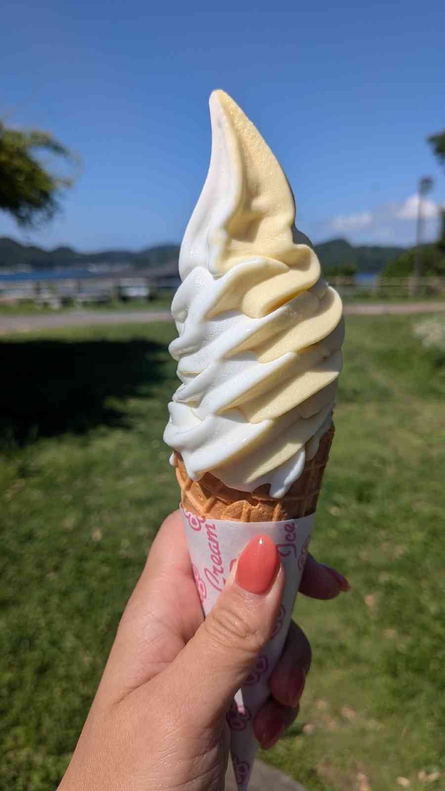 道の駅 鷹ら島の写真