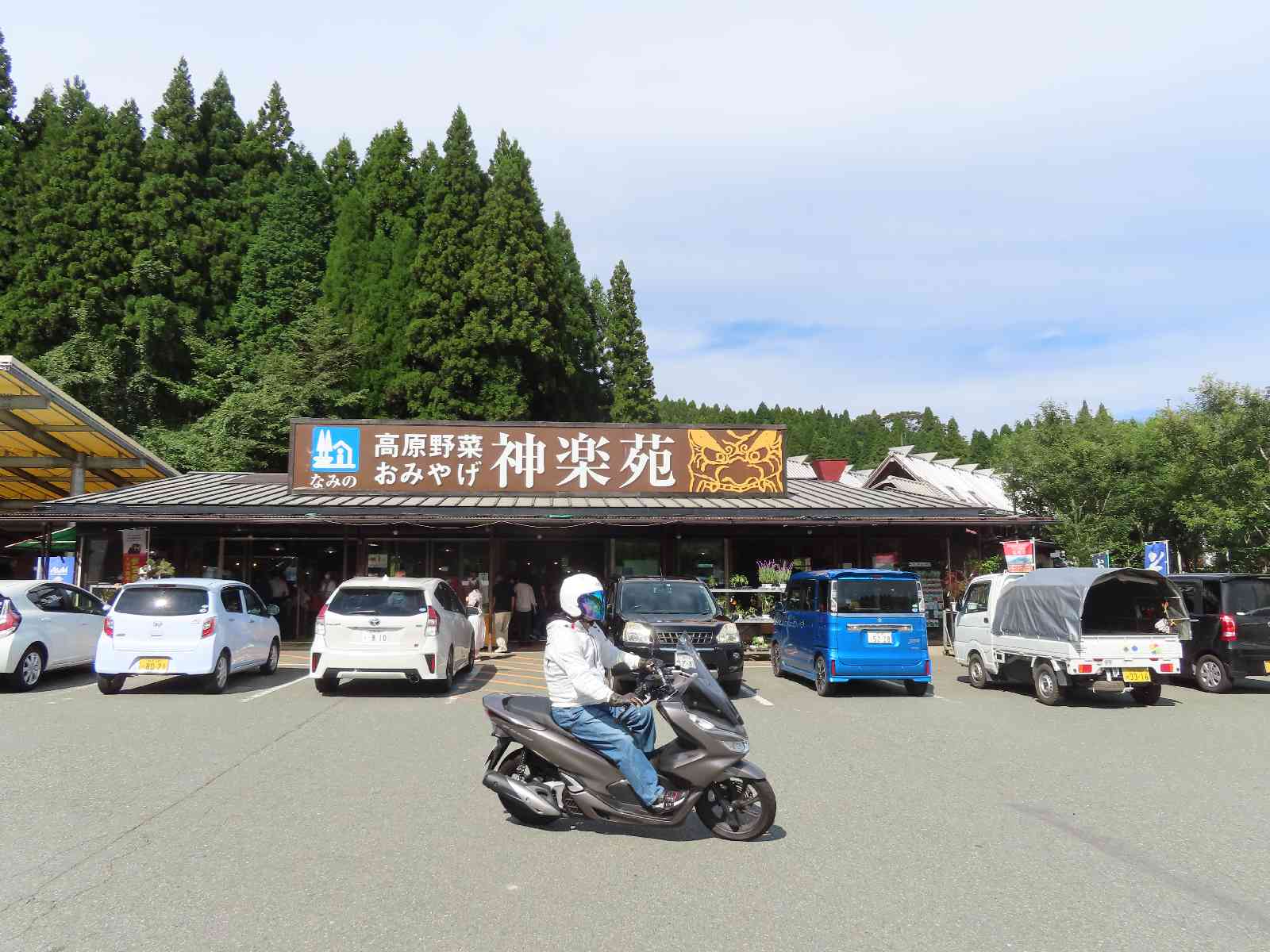 投稿された画像