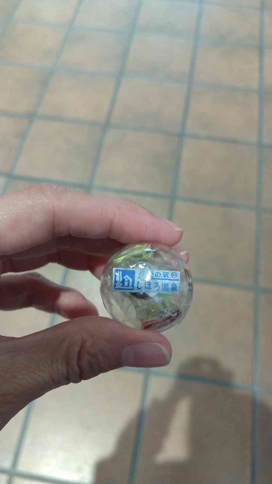 投稿された画像