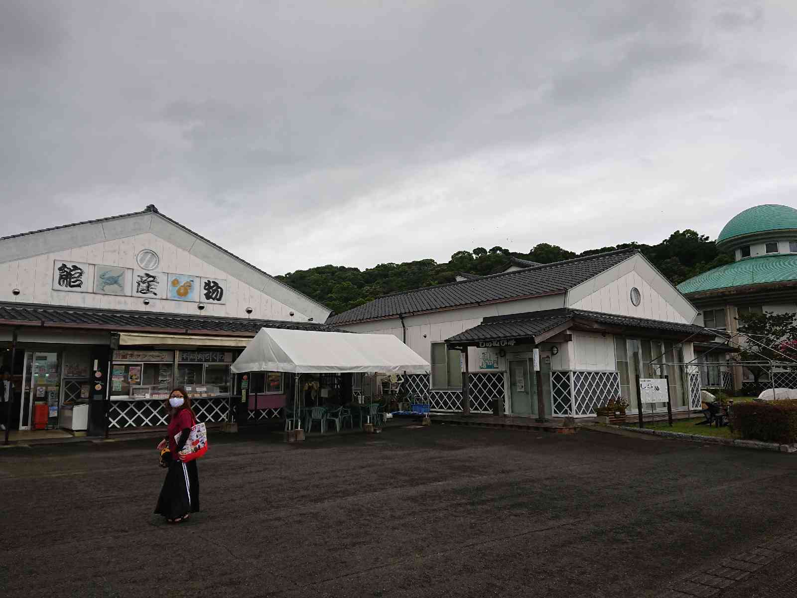 投稿された画像