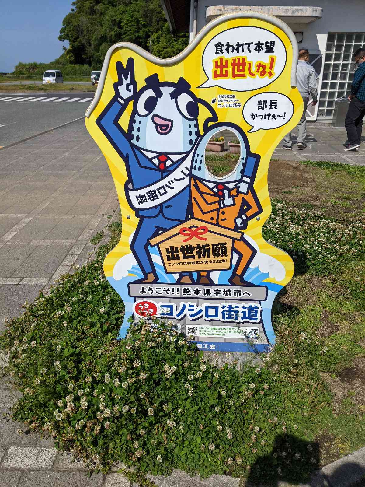 投稿された画像