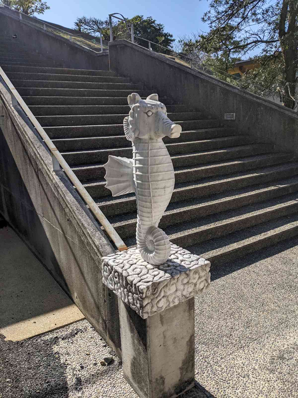 投稿された画像