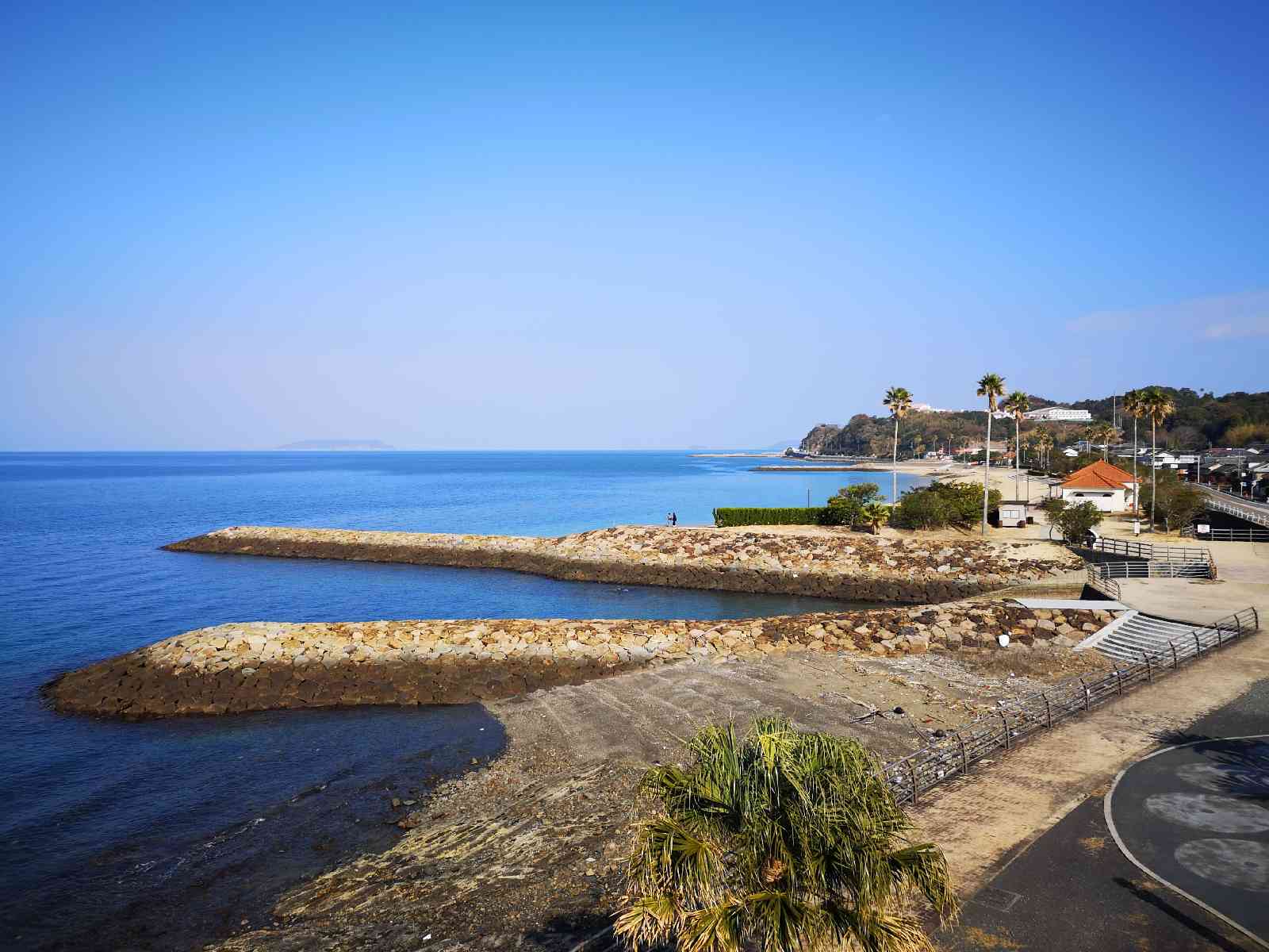 投稿された画像