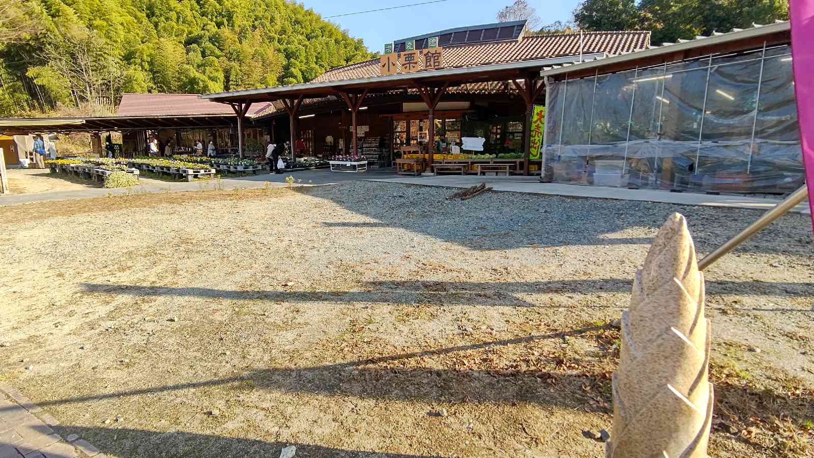 投稿された画像