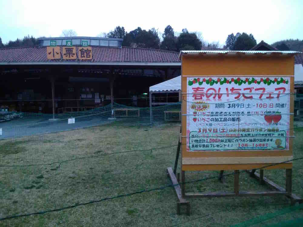 投稿された画像