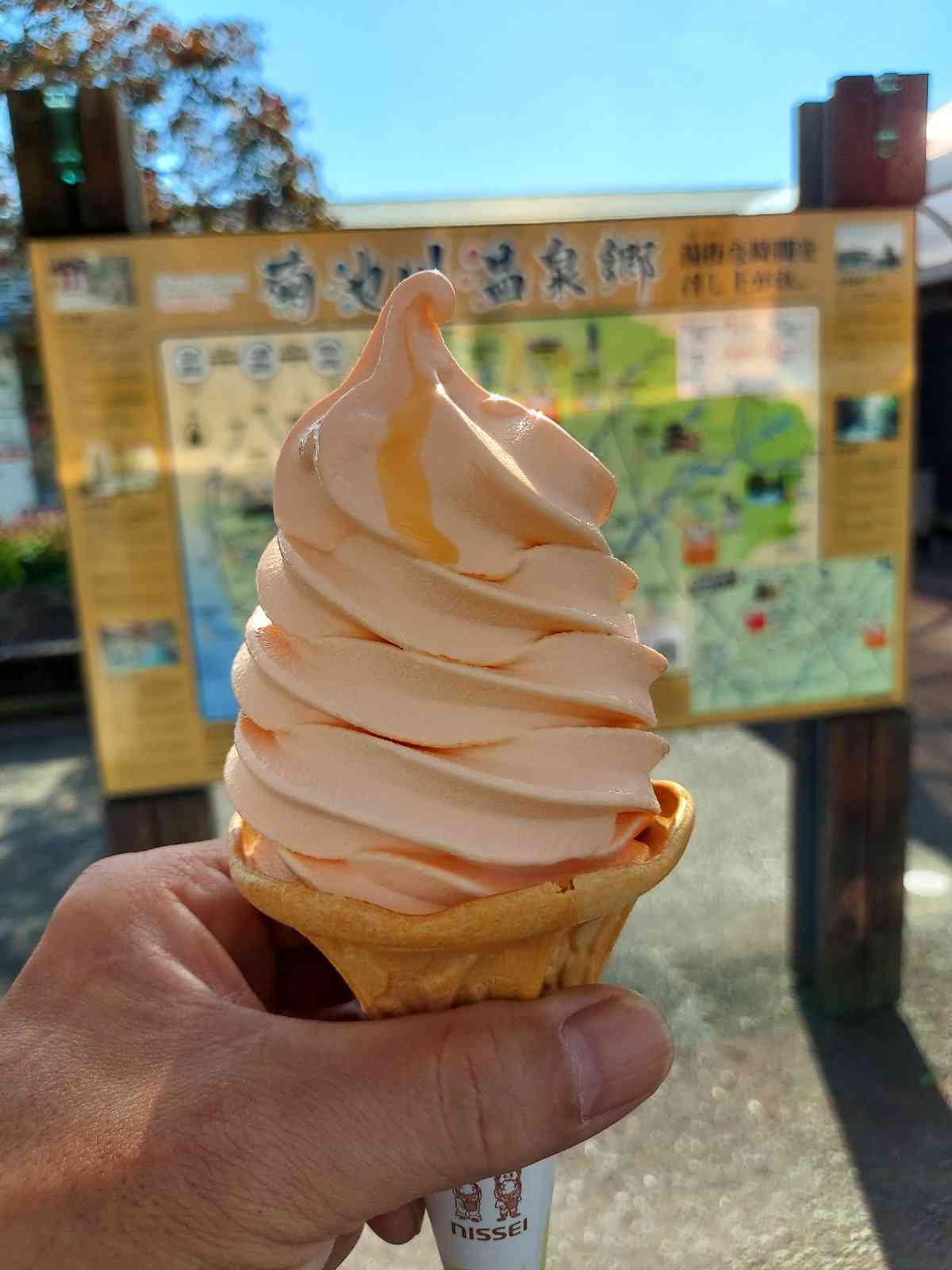 道の駅 七城メロンドームの写真