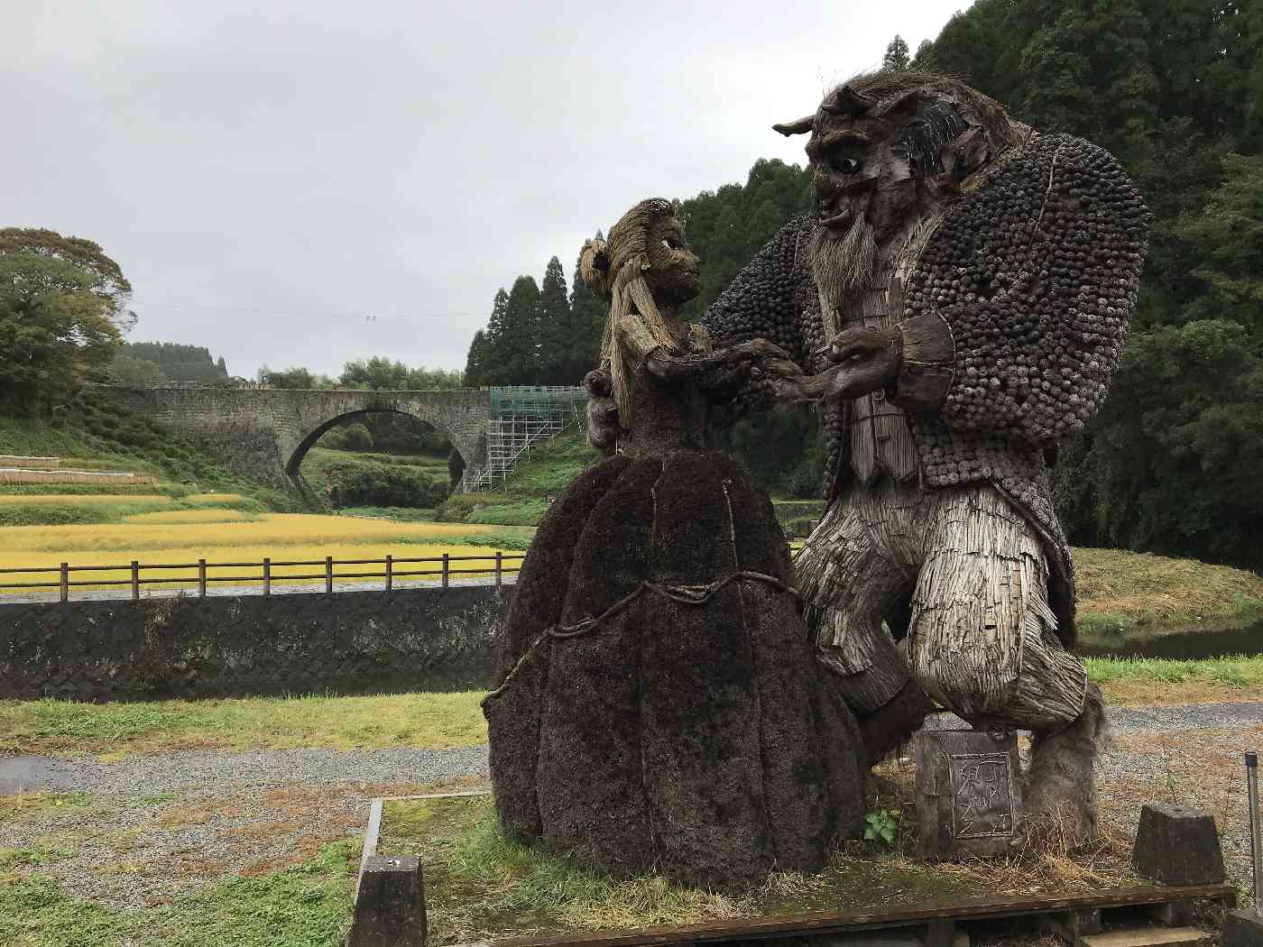 投稿された画像