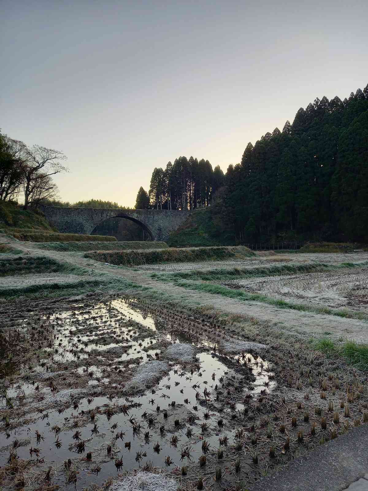 投稿された画像