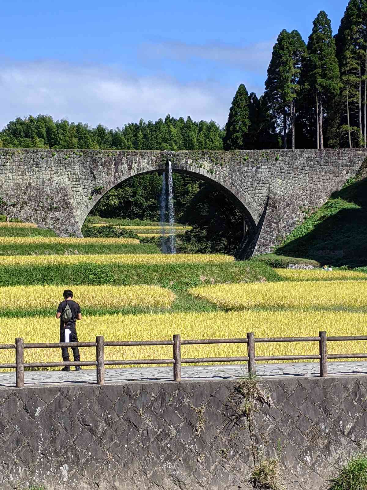 投稿された画像
