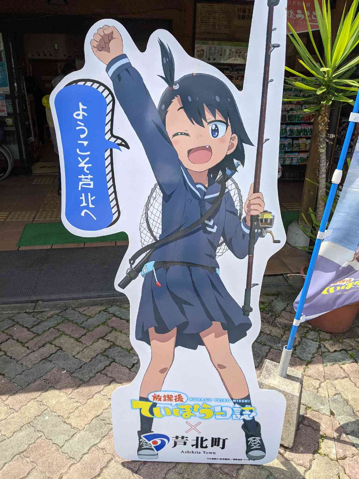 投稿された画像