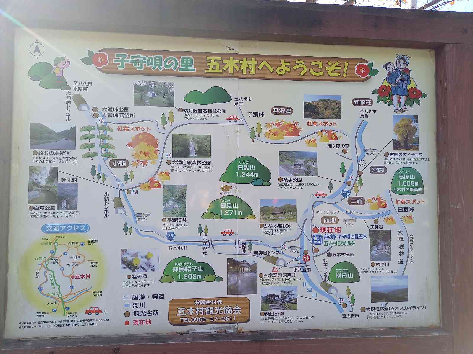 投稿された画像
