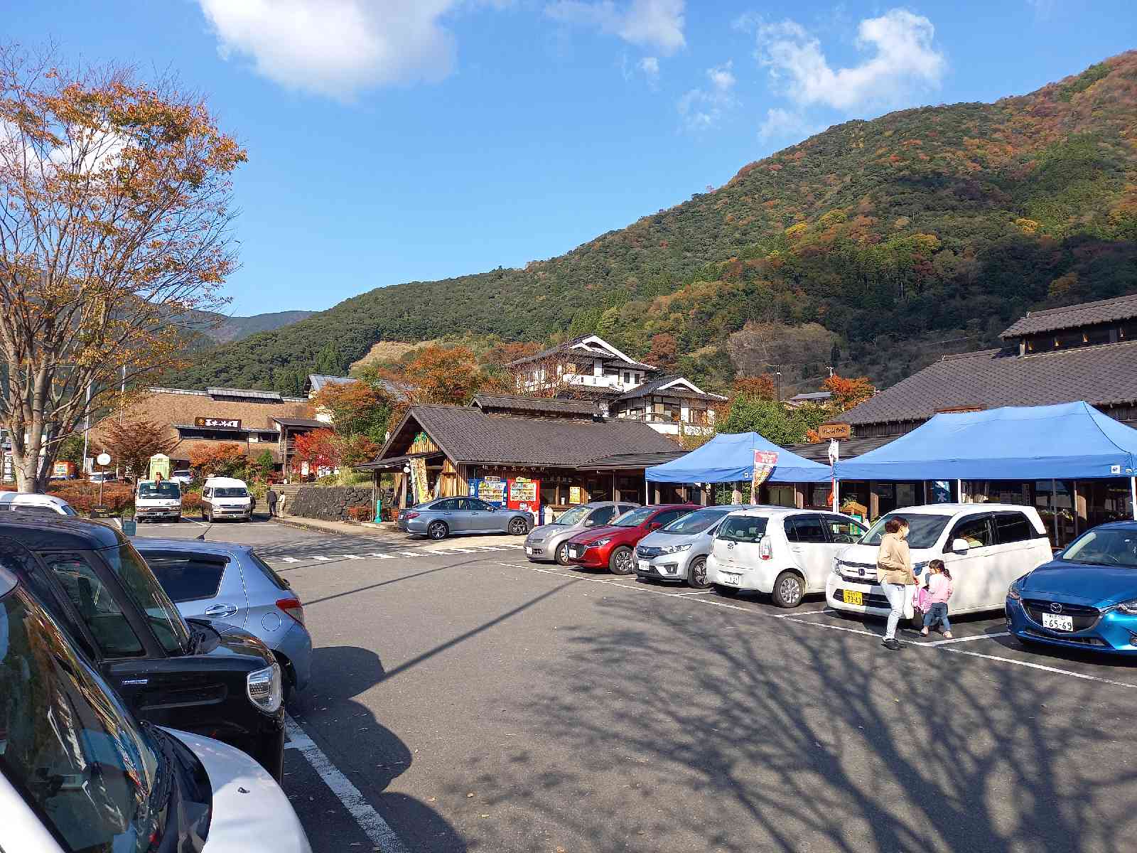 投稿された画像