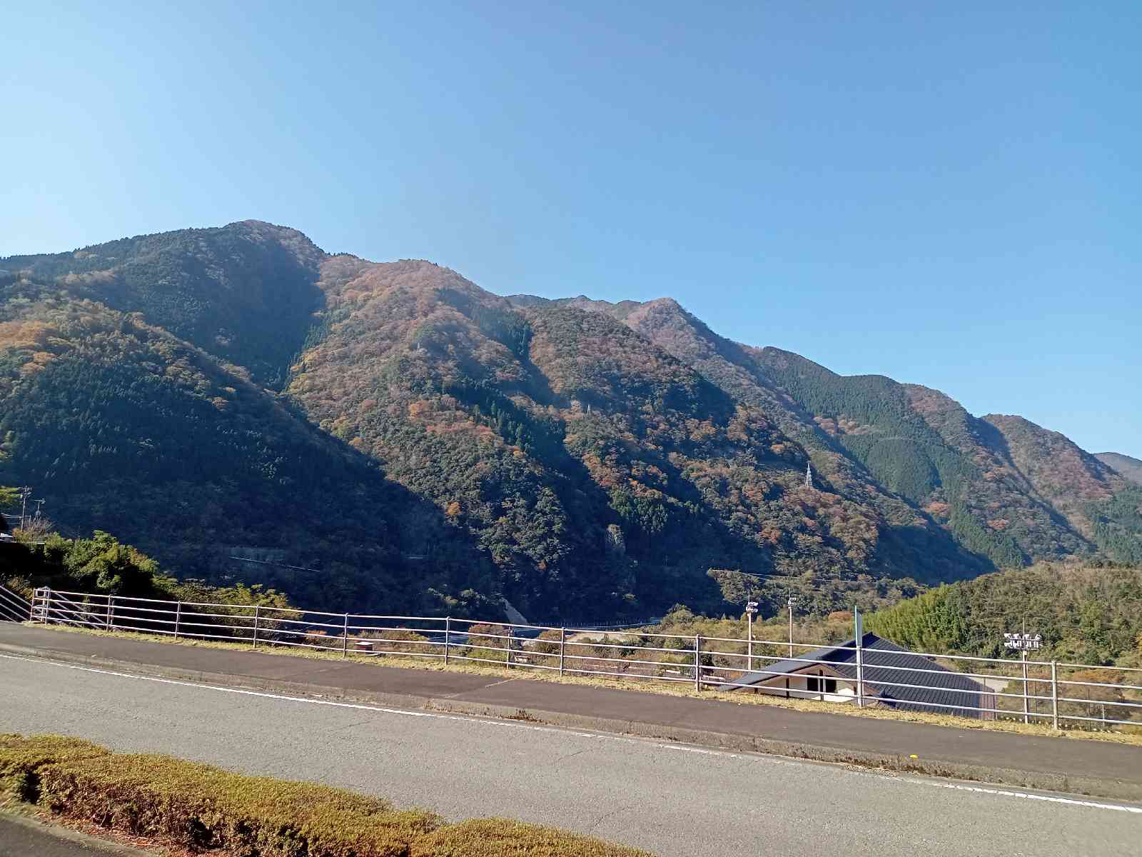 投稿された画像