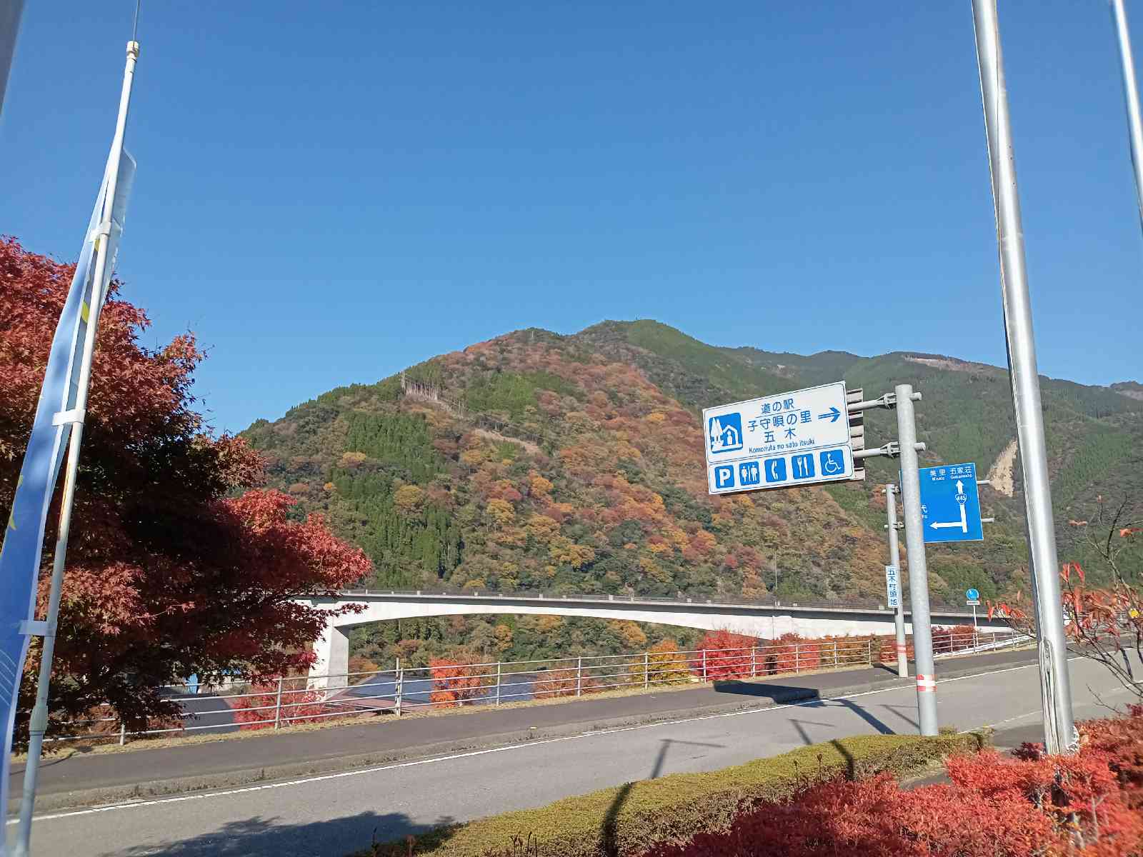 投稿された画像