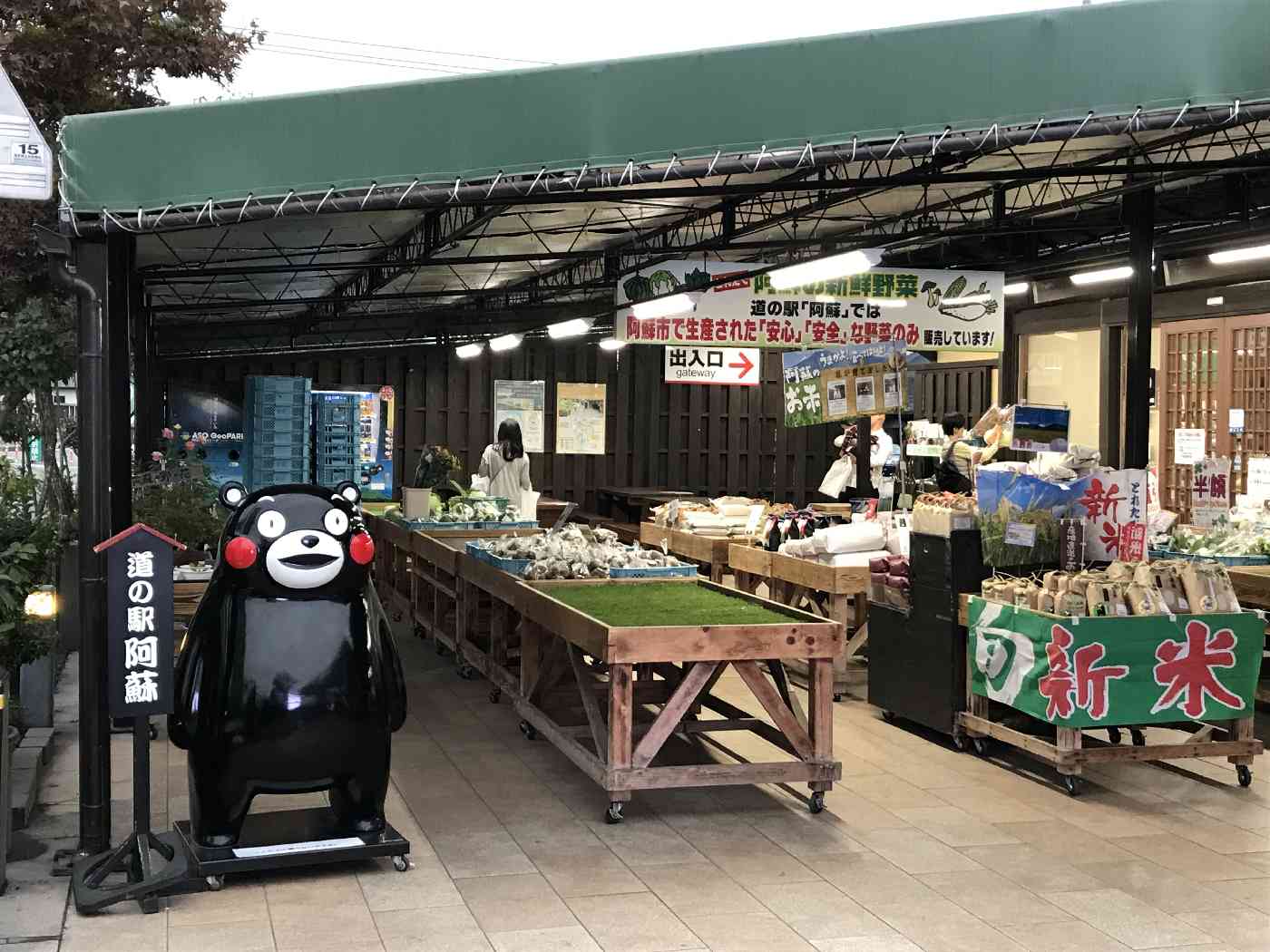 投稿された画像