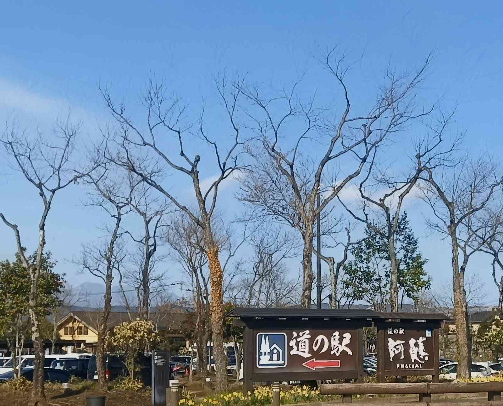 道の駅 阿蘇の写真