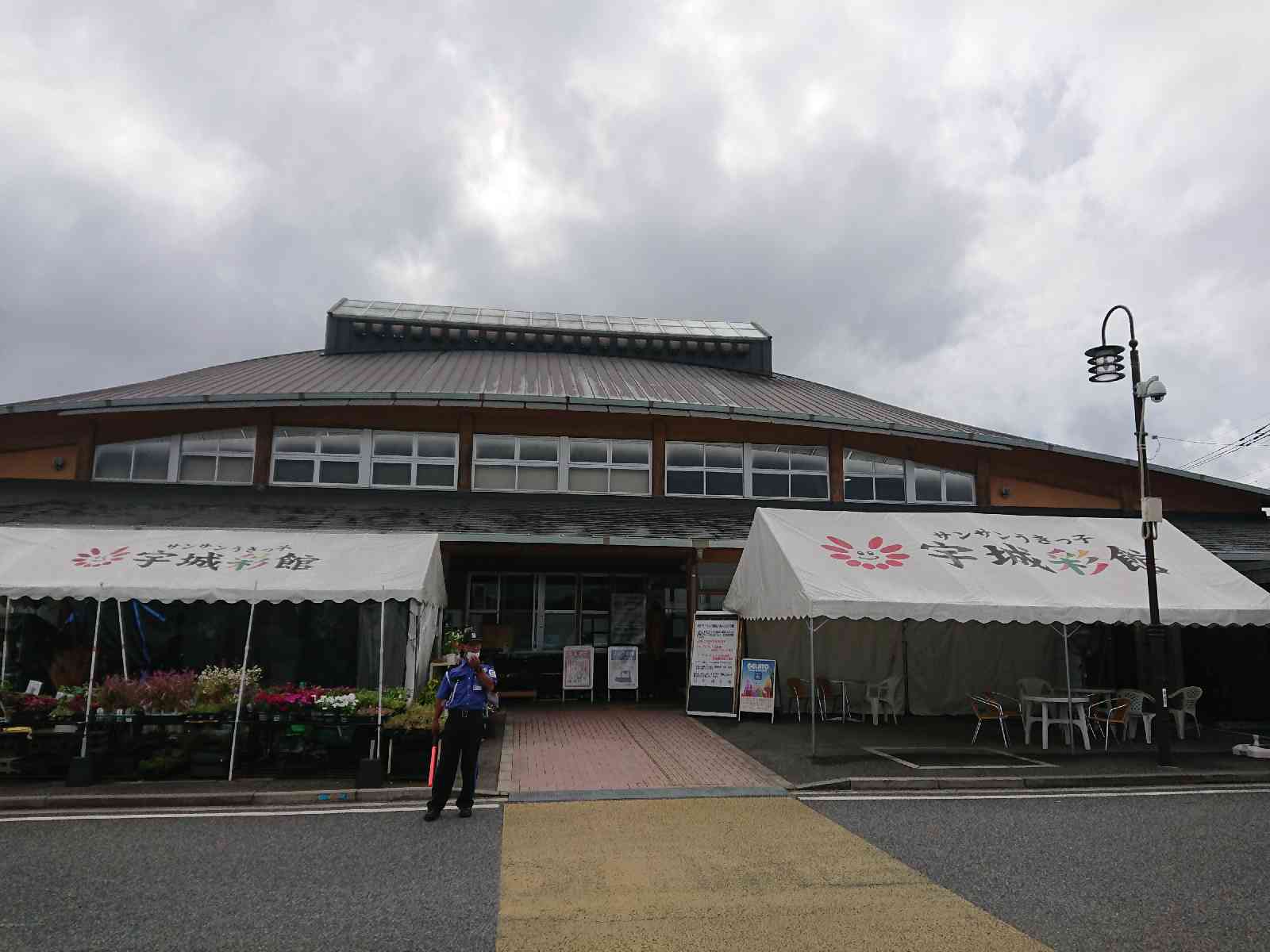 投稿された画像