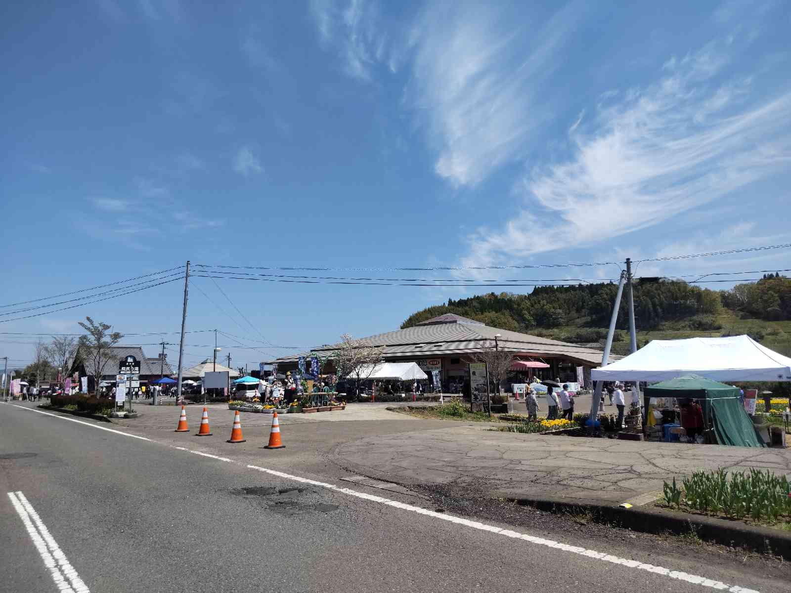 投稿された画像