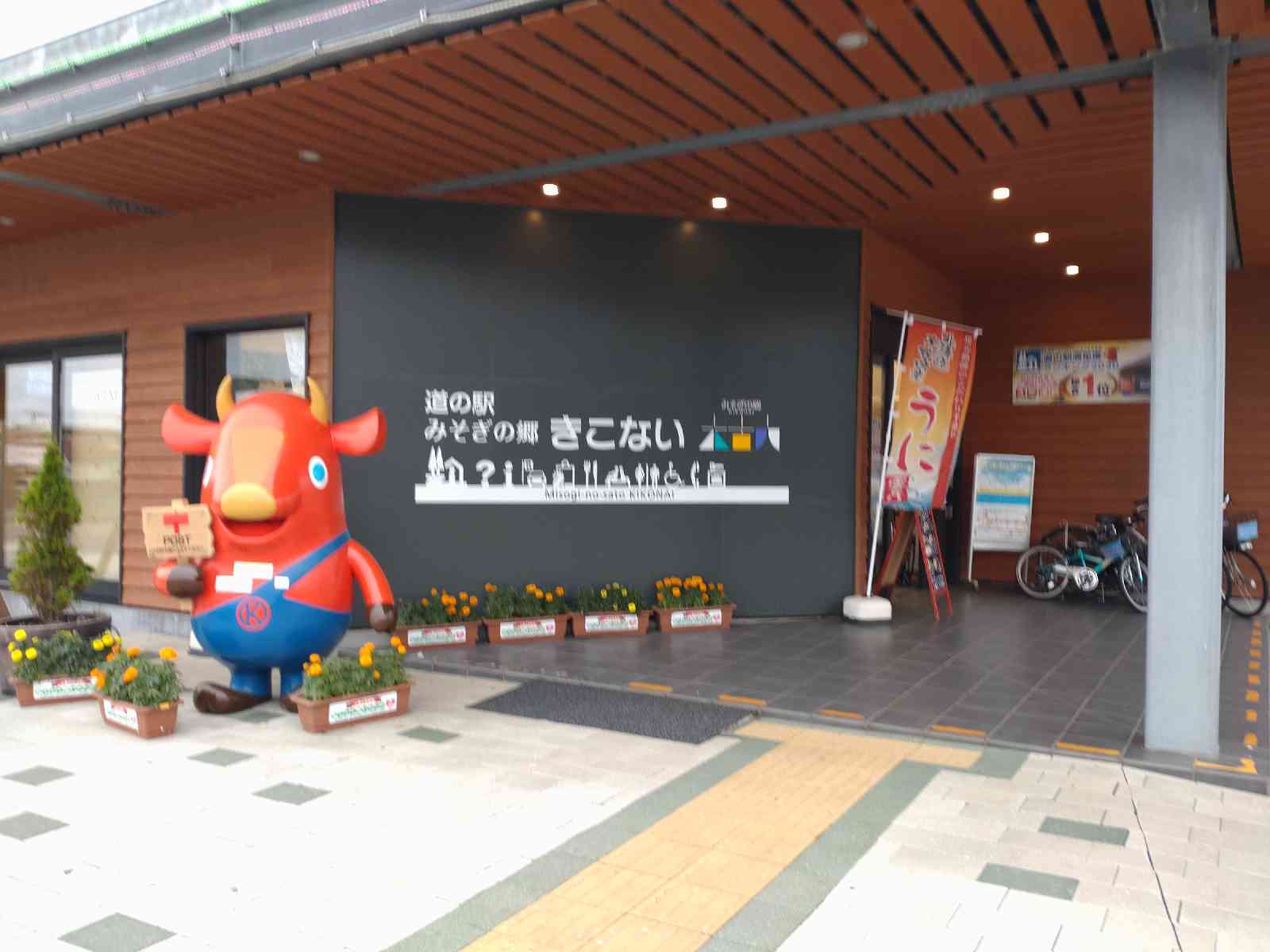 投稿された画像