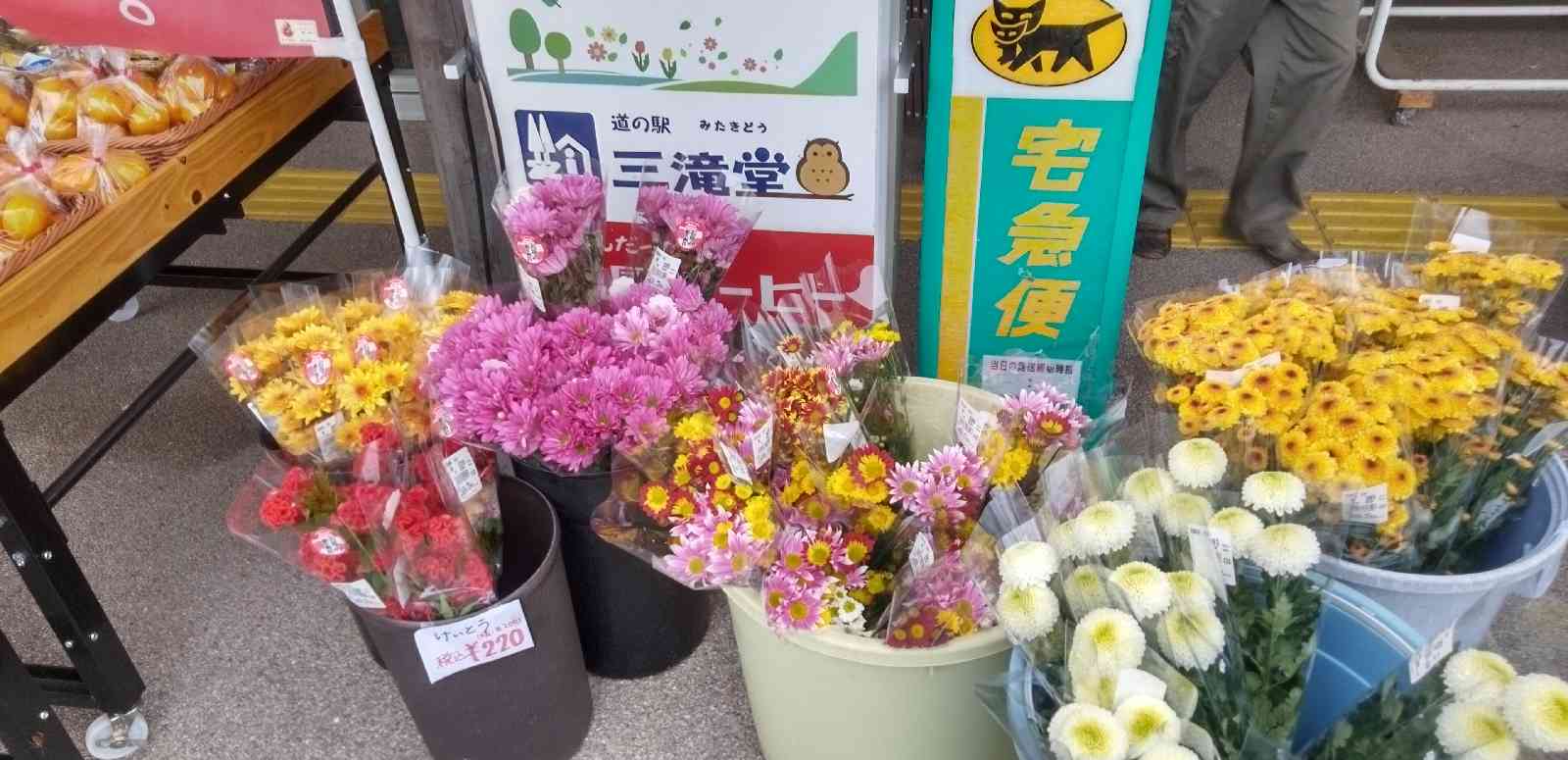 道の駅 三滝堂の写真