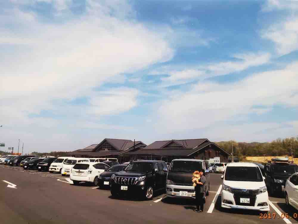 投稿された画像